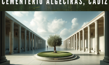 Imagen horizontal hiperrealista del patio central de un cementerio, con elementos de diseño que recuerdan al Parque Cementerio Botafuegos de Algeciras, Cádiz. La escena debe presentar una gran plaza de hormigón como zona central. Un olivo debería estar en el centro, simbolizando la paz, dentro de una pequeña zona de césped verde. Rodeando el patio, incluya pórticos con columnas en un color claro, con tejados planos para transmitir una arquitectura moderna y minimalista. El cielo debe estar despejado con nubes dispersas, sugiriendo el amanecer o el atardecer. El espacio debe tener un aire abierto y sereno, con una figura caminando o de pie a lo lejos, que aporte un elemento humano a la escena. https://www.cementerio.info/