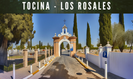 Imagen horizontal hiperrealista de la entrada al Cementerio Municipal de Tocina - Los Rosales en Sevilla, muy parecida a la foto proporcionada. La entrada tiene un diseño tradicional, con un arco de medio punto blanco en el centro, rematado por una pequeña estructura similar a un campanario con una cruz en la parte superior. A ambos lados del arco hay columnas blancas que sostienen una reja de hierro forjado que se extiende a lo largo de los muros laterales. El camino que conduce al cementerio está pavimentado con adoquines y flanqueado por altos cipreses, típicos de los cementerios mediterráneos. Al fondo se ve más vegetación y algunas personas caminando, lo que indica actividad dentro del cementerio. La luz del sol ilumina la escena, sugiriendo un día claro y soleado con un cielo azul y algunas nubes dispersas. En el lado izquierdo hay un pequeño aparcamiento con un cartel azul con la letra 'P', que indica la disponibilidad de aparcamiento. La escena general transmite una sensación de serenidad y orden. En la descripción de la imagen, incluya la URL 'https://www.cementerio.info/' en español de España.